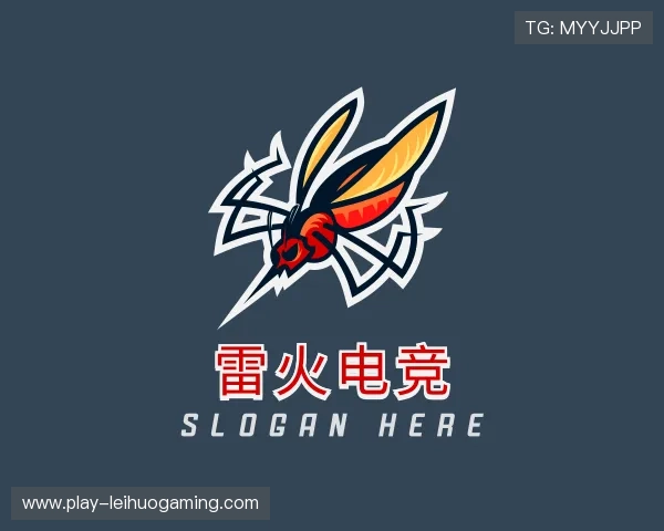 解读雷火电竞团队